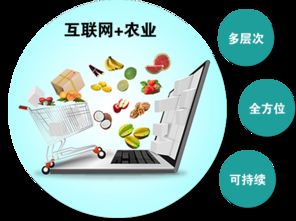 農產品觸網 互聯網時代，誰是下一個超級代言人？
